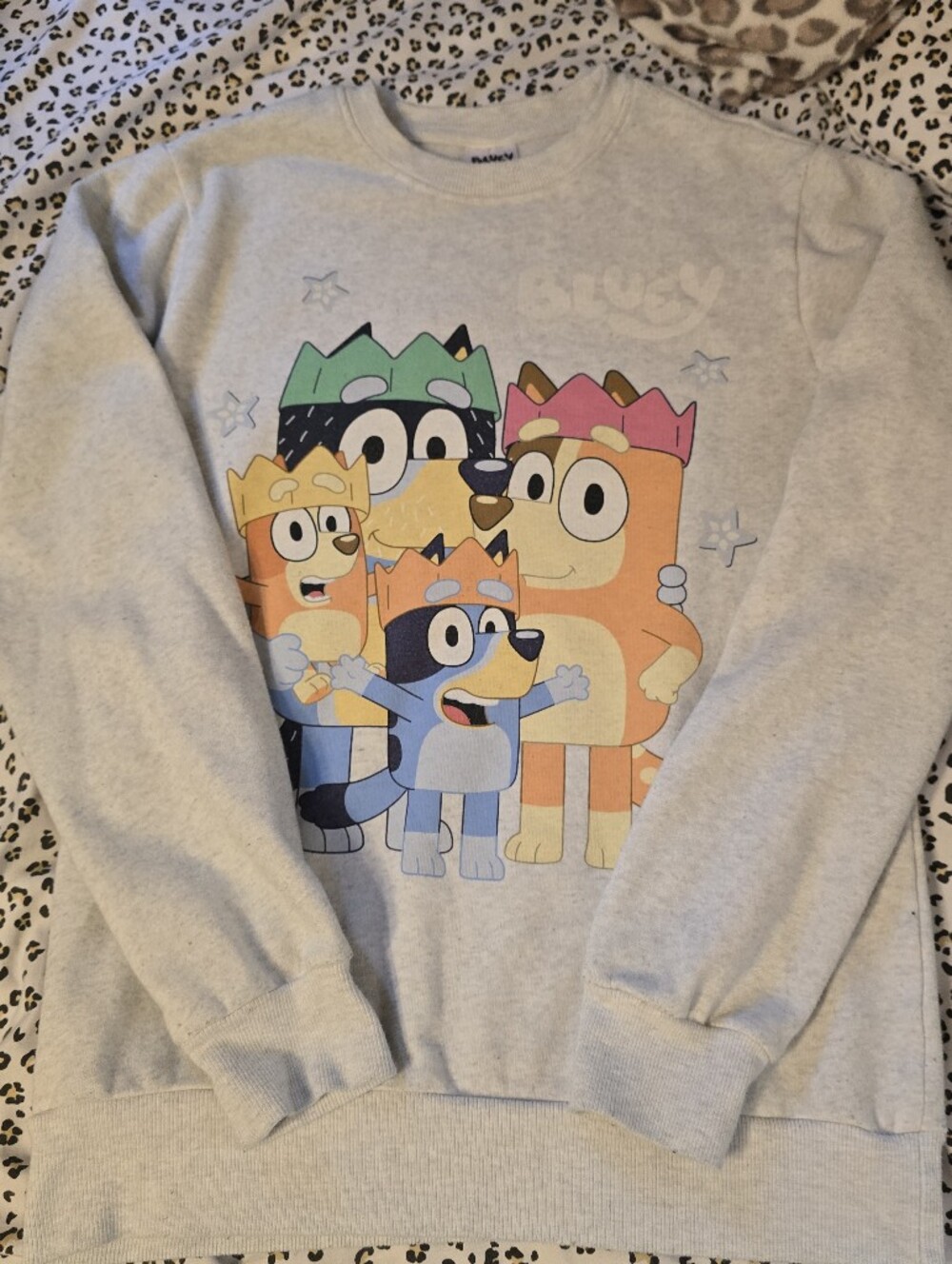 Grey Bluey Family Graphic Sweatshirt